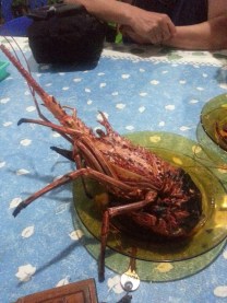 Lobster! 2013-05-11 20.27.21