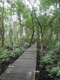 Kawasan lama DSCN8564