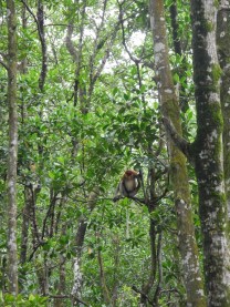 Kelompok Mika DSCN8613