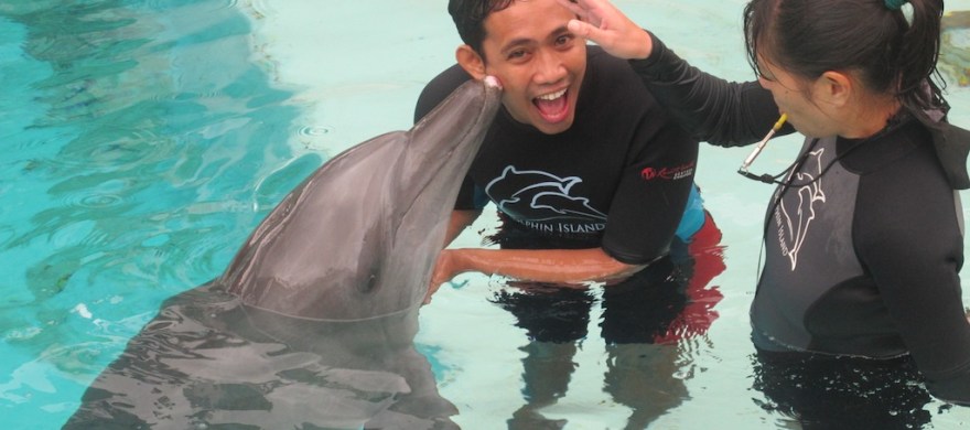 Dolphin's Kiss