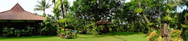 Landscape of Museum di Tengah Kebun
