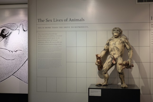 The Sex Lives of Animals