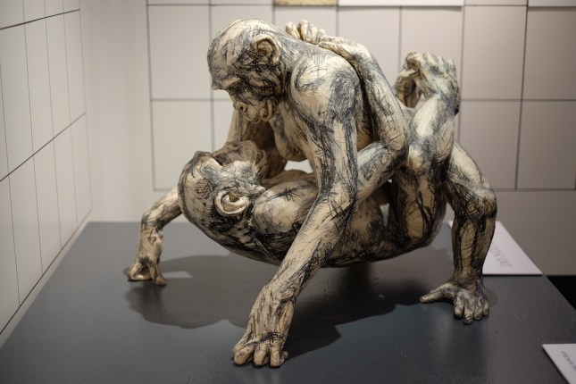 The Sex Lives of Animals