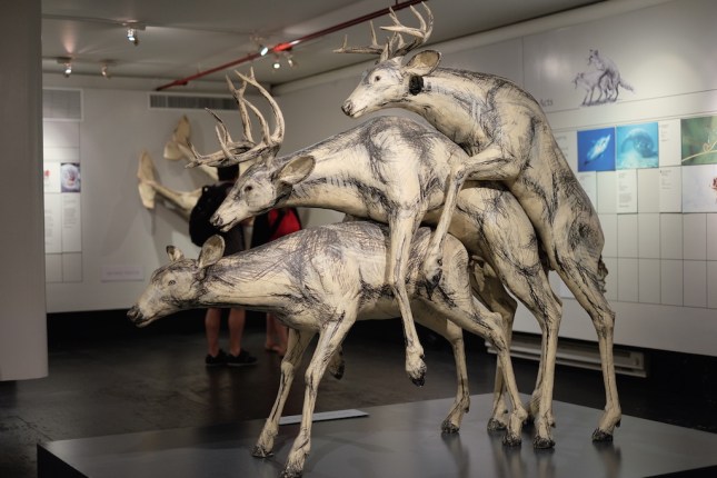 The Sex Lives of Animals