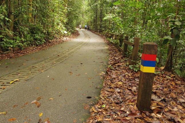 Bukit Timah Nature Reserve