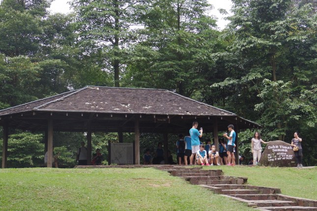 Bukit Timah Nature Reserve