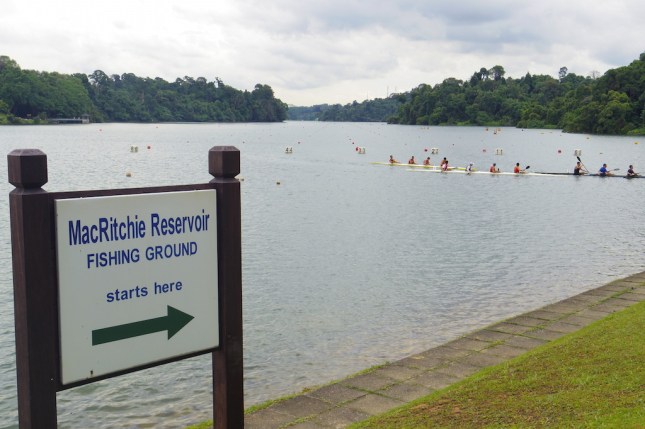 MacRitchie Reservoir