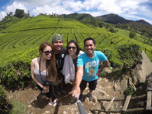 Walini Tea Plantation