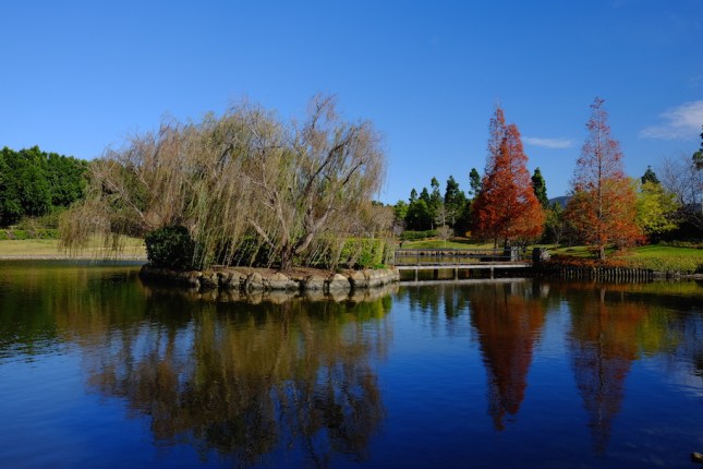 Hunter Valley Gardens