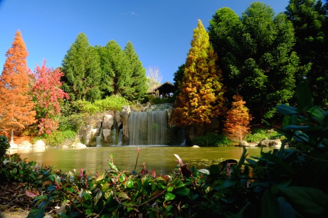 Hunter Valley Gardens