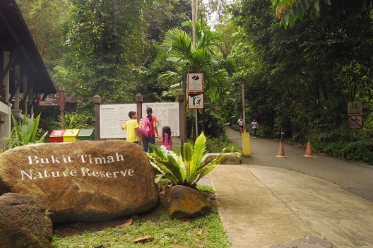 Bukit Timah Nature Reserve, Singapura