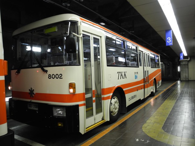 Tateyama Tunnel Trolley Bus