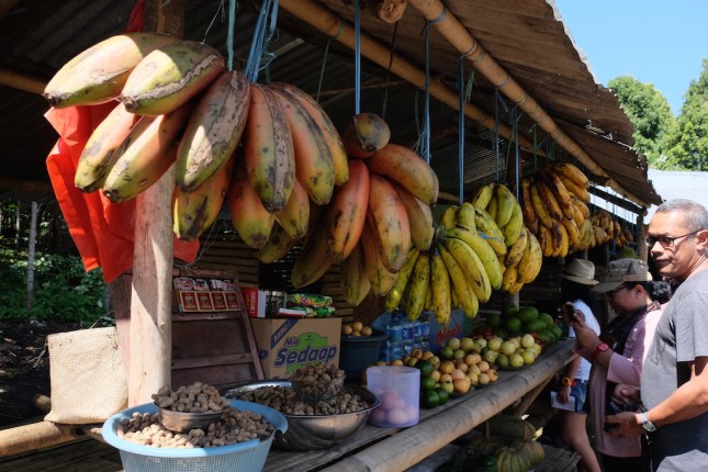 Buah-buahan lokal Flores