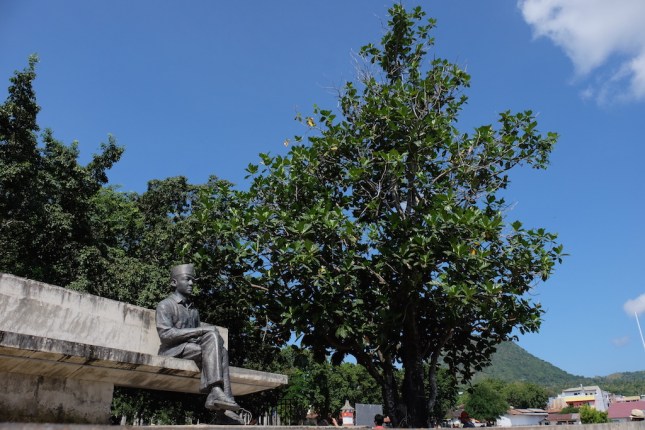 Bung Karno dan Pohon Sukun