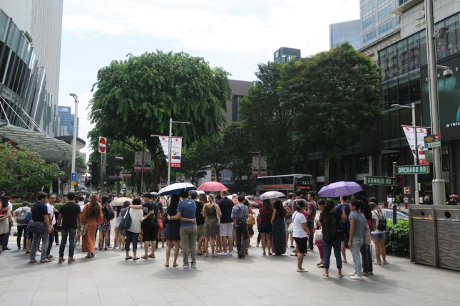 Orchard Road