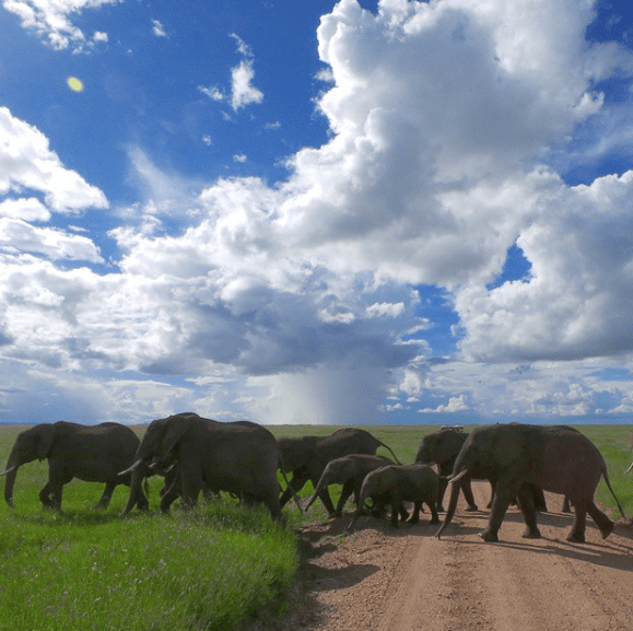 Trinity Traveler in Tanzania