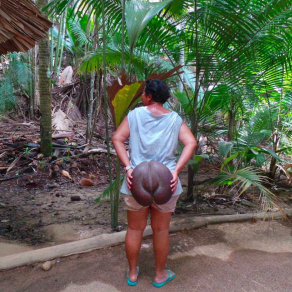 Trinity Traveler in Seychelles