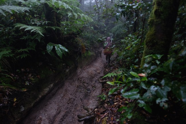 Kawah Ratu Viewpoint