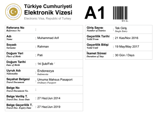 e-Visa Turki