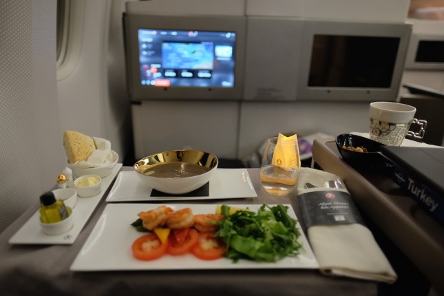 Turkish Airlines Business Class
