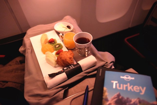 Turkish Airlines Business Class
