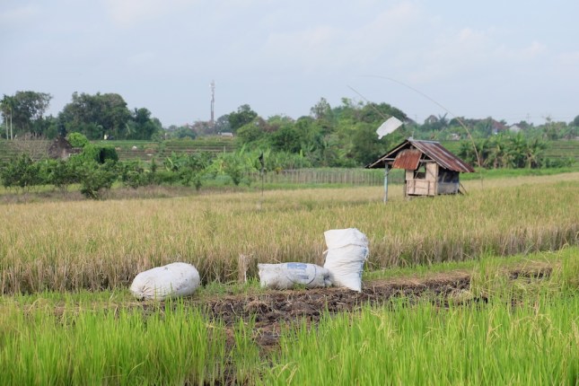 Subak Sembung ASTRA