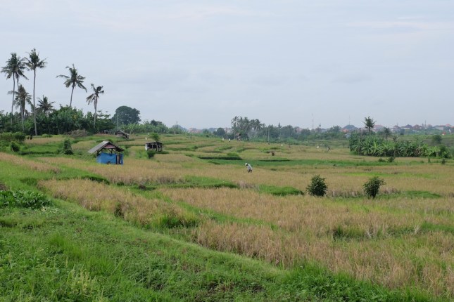 Subak Sembung ASTRA