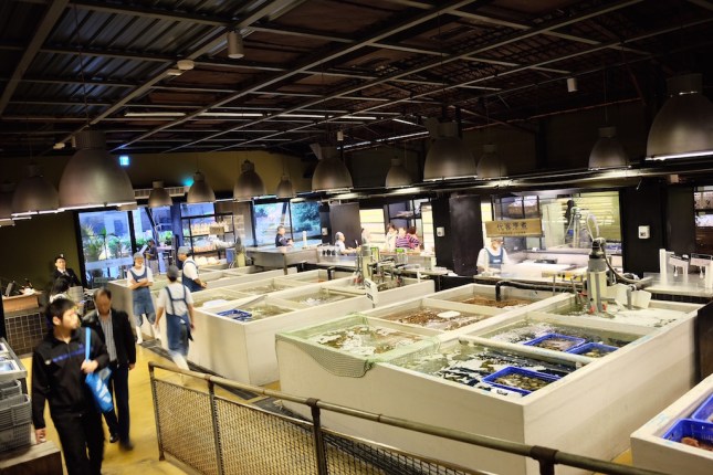 Addiction Aquatic Development