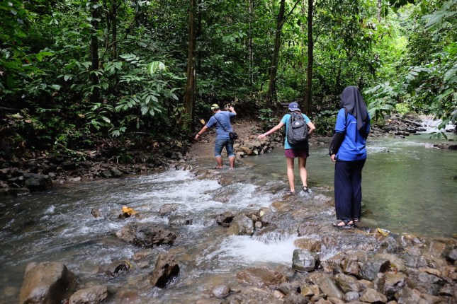 Air Terjun Desa Ureng
