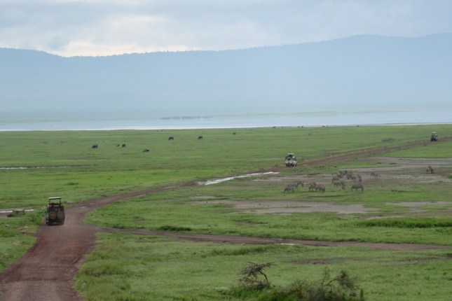 Safari Ngorongoro Crater