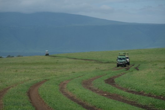 Ngorongoro Crater