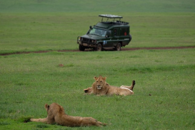 Ngorongoro Crater