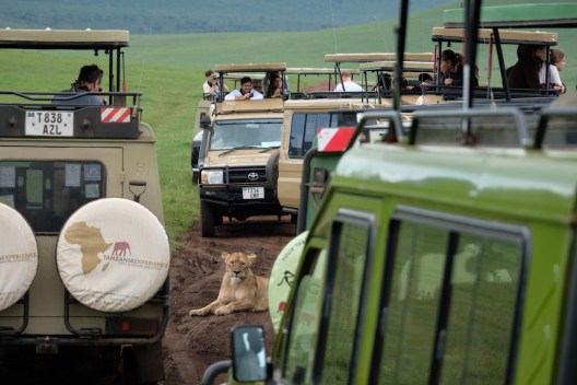 Ngorongoro Crater