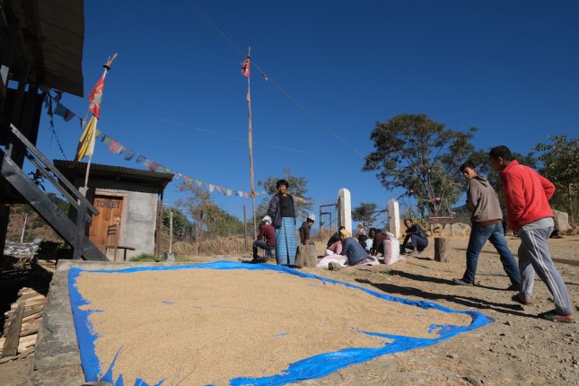 Chimi Lhakhang Village