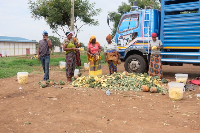 Walking Tour Moshi Tanzania