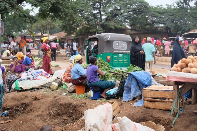 Walking Tour Moshi Tanzania