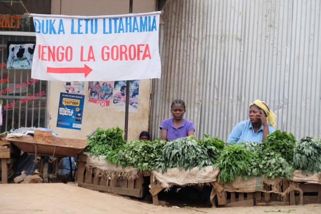 Walking Tour Moshi Tanzania