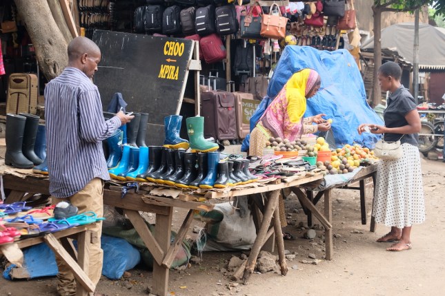 Walking Tour Moshi Tanzania