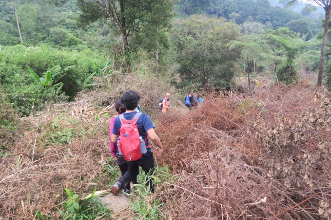 Road to Desa Cisadon