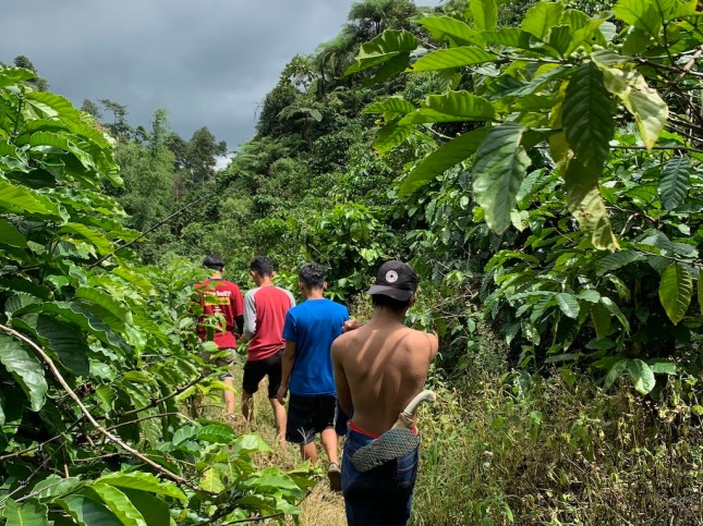 Road to Curug Kalimata