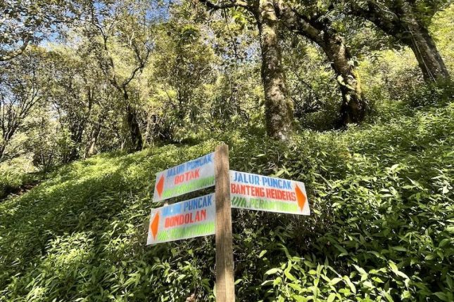 Gunung Ungaran via Perantunan