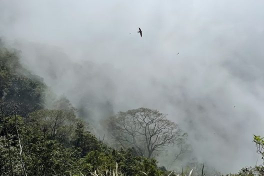 Gunung Ungaran via Perantunan